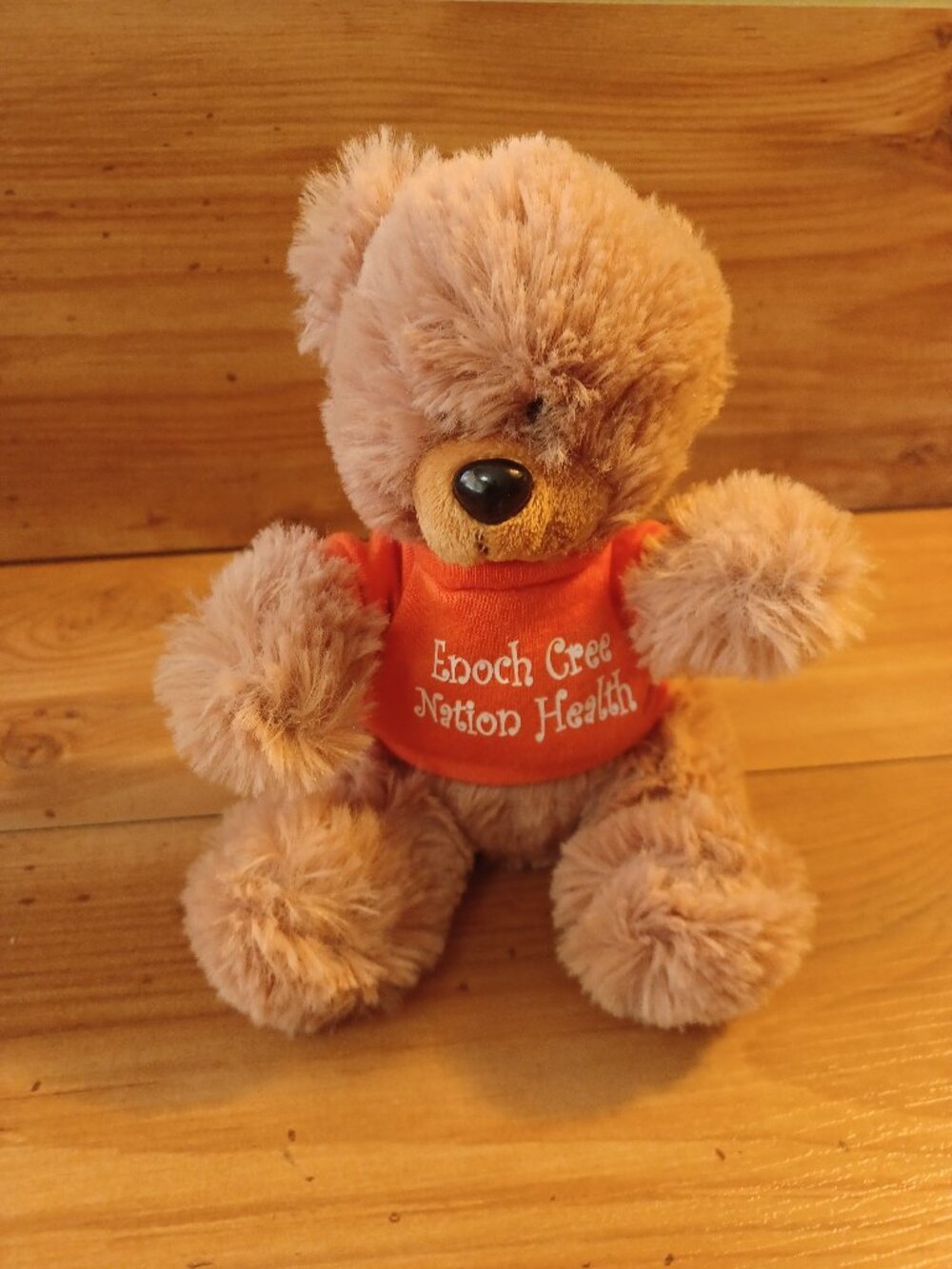 Bullet Line Teddy Bear Enoch Cres Nation Health